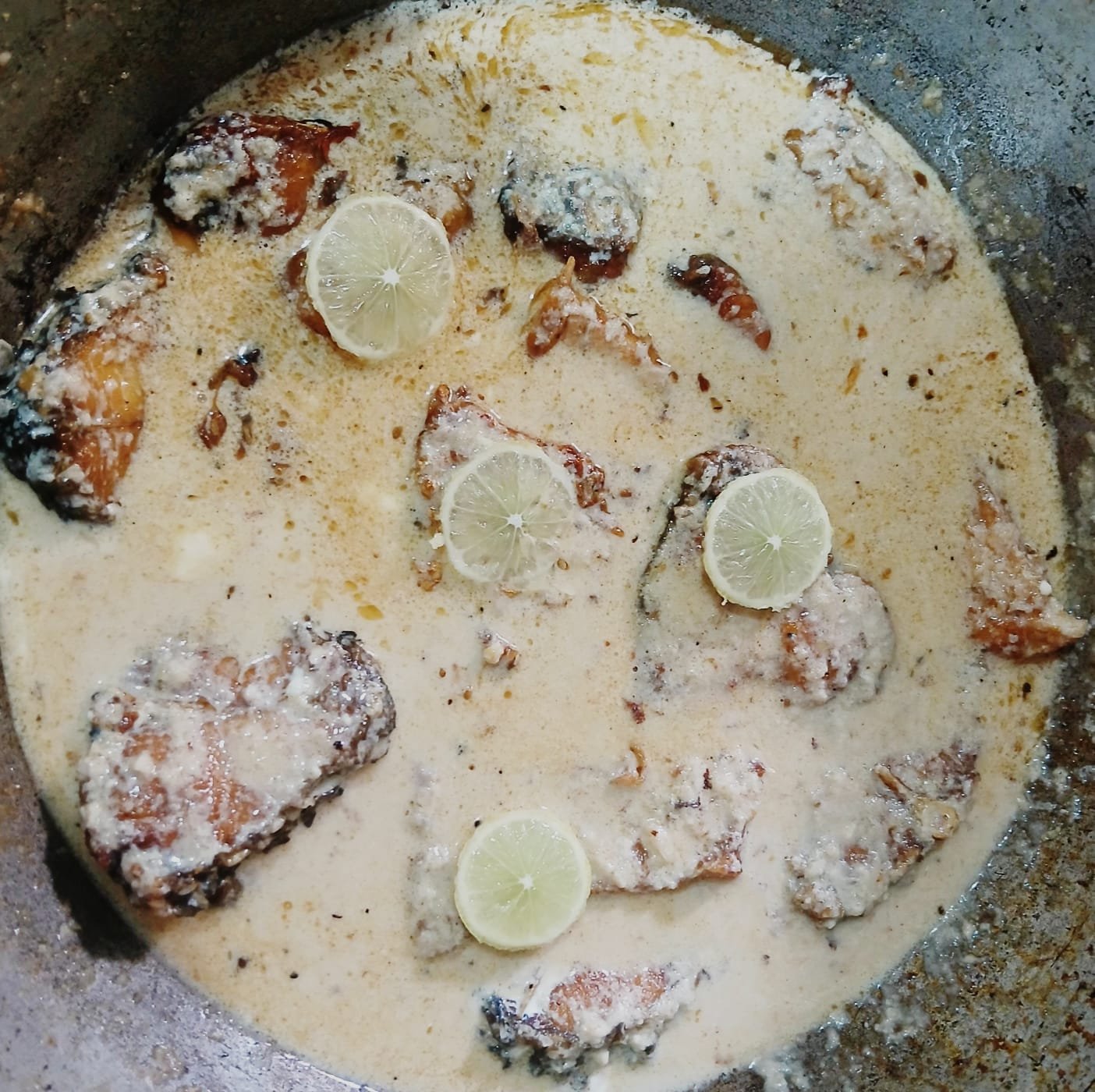 গন্ধরাজ কাতলা