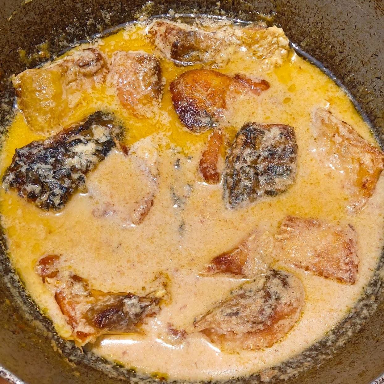 ক্ষীরদ কাতলা